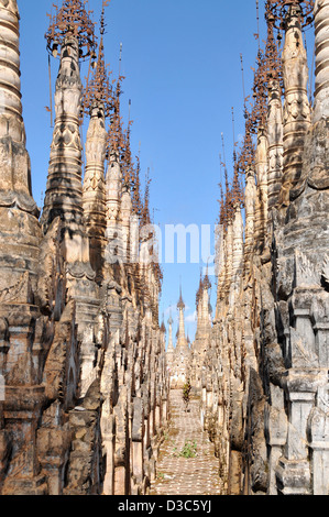 Stupa buddisti, Kakku, Stato Shan, birmania, myanmar Foto Stock