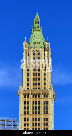 Woolworth Building, Manhattan New York City Foto Stock