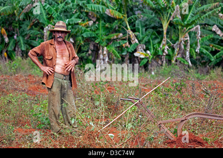 L'agricoltore cubano e il tradizionale aratro sulla piantagione di tabacco, Valle de Viñales, Sierra de Los Organos, Pinar del Río, Cuba Foto Stock