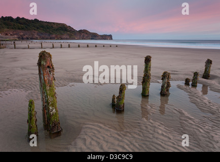 Sandsend sunrise sulla spiaggia con i pennelli in primo piano che guarda al mare. North Yorkshire costa. Seascape Foto Stock