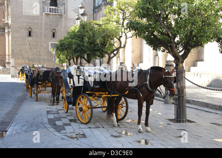 Plaza del Triunfo, Siviglia, Spagna, Andalusia, Unesco World Heritage Site Foto Stock