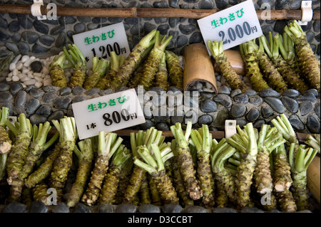 Radice di wasabi cruda (rafano giapponese) in vendita presso l'azienda agricola Daio Wasabi Nojo nella prefettura di Nagano, Giappone. Foto Stock
