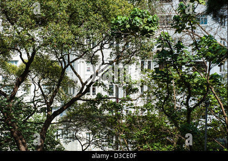 Hong Kong, Marzo 2012 Appartment edifici coperti da alberi in zone densamente abitato di livello intermedio. Foto Kees Metselaar Foto Stock