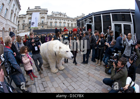 Greenpeace orso polare visite London Fashion Week 15 febbraio 2013 la Somerset House, London, England, Regno Unito, GB Foto Stock