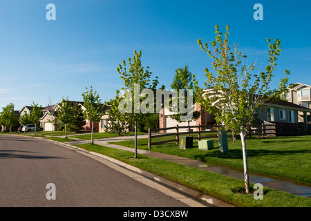 Suburban suddivisione nella città di Erie, Colorado. Foto Stock