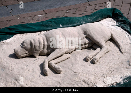 La scultura di sabbia di cane,damrak,,Amsterdam Paesi Bassi Foto Stock