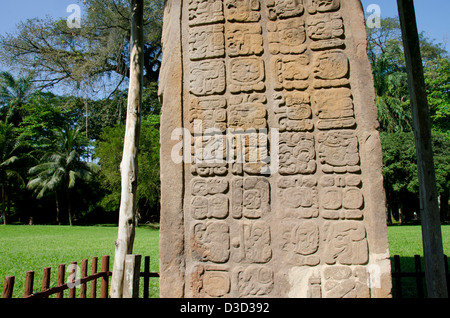 Guatemala, Quirigua rovine Maya parco archeologico (UNESCO). Dettaglio del riccamente intagliato stele di pietra. Foto Stock