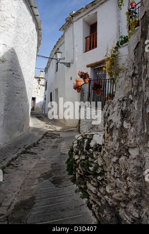 Strada di Capileira, un piccolo villaggio di montagna di La Alpujarra di Granada, Spagna Foto Stock