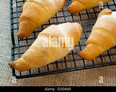 La cottura piccoli croissant per colazione. Foto Stock