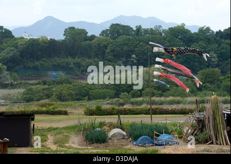 Koinobori carp streamer vento calza oscilla nella brezza nella campagna di Kanagawa il 5 maggio una festività nazionale in Giappone. Foto Stock