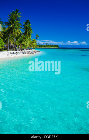 Isola tropicale nelle isole Figi con spiaggia di sabbia e acqua incontaminata Foto Stock