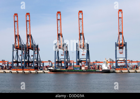 Rotterdam, Paesi Bassi, gru da carico nel porto di Rotterdam Foto Stock