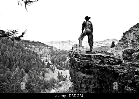 Wrangler topografico vista forestale da pecore rock, Montana, USA Foto Stock