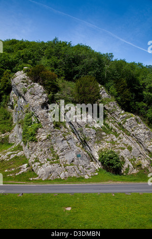 Il famoso 'Rock of Ages' in Burrington Combe Limestone Gorge in Mendip Hills, Somerset, Inghilterra, Regno Unito Foto Stock