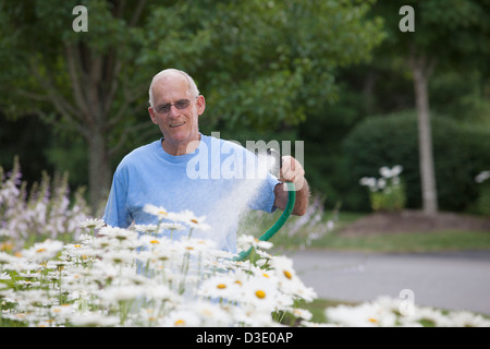 Senior uomo margherite di irrigazione nel giardino esterno Foto Stock
