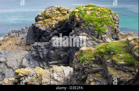 Robusto litorale della Cornovaglia Cadgwith Lizard Cornwall Foto Stock