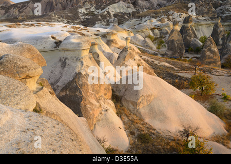Lisciato tufo vulcanico e Camini di Fata a monaci Pasabag Valley al tramonto generali vigneto Cappadocia Goreme Nevsehir Turchia Foto Stock