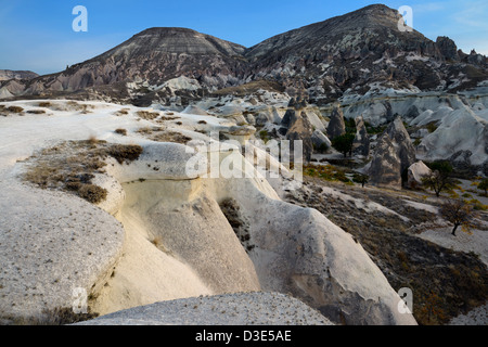 Camini di Fata e eroso tufo vulcanico a monaci Pasabag Valley Generals Vigna al tramonto Cappadocia Turchia Foto Stock