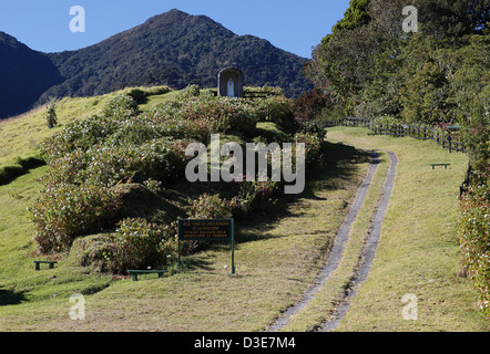 Disboscata all'interno del Parque Nacional Volcan Baru, Panama Foto Stock