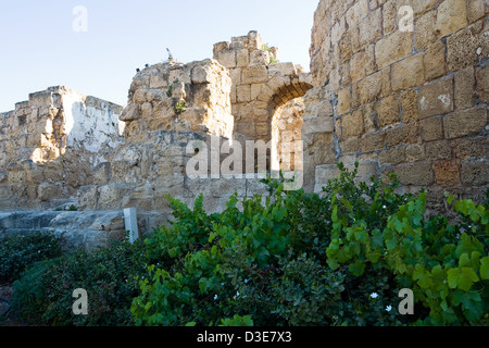 Cesarea rovine, Israele Foto Stock