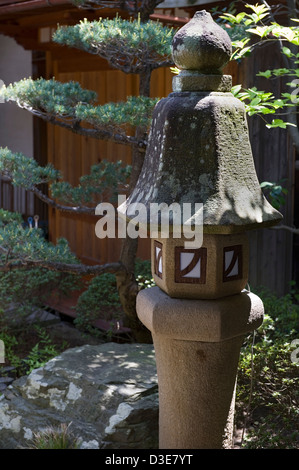 Un insolito alto, skinny lanterna di pietra e un curato matsu pine tree in un paesaggio giapponese giardino. Foto Stock