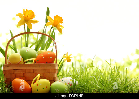 Cestello riempito con le uova di pasqua sul prato con daffodil Foto Stock