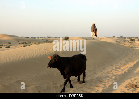 Deserto di Thar India