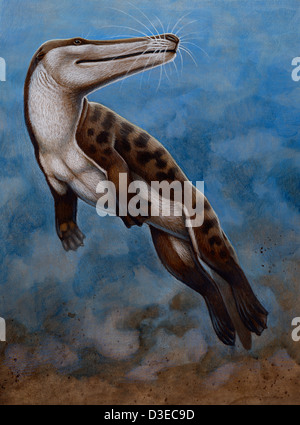 Ambulocetus natans e un inizio di cetacei che visse nei primi Eocene epoch durante il Cenozoico Foto Stock