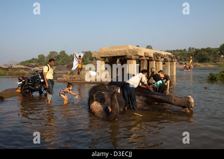 Elefante in Hampi Foto Stock