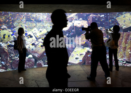 Visitatore pone accanto all'acquario pesce serbatoio in Atlantis Palm Hotel Dubai EMIRATI ARABI UNITI come un fotografo scatta una foto. Foto Stock