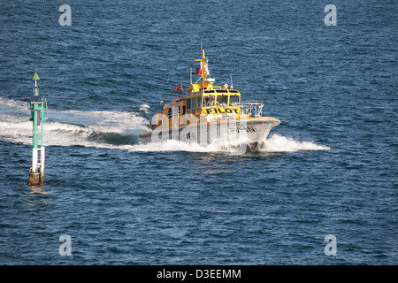 Port Botany Harbourmaster nave PV4N Governatore Bligh porto operativo botanica Sydney Australia Foto Stock