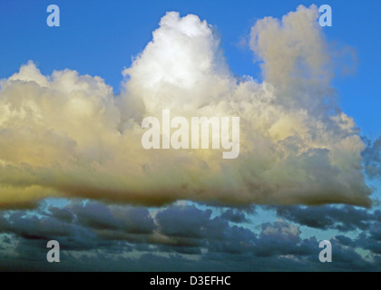Tropicali DEI CARAIBI CUMULUS nubi Foto Stock