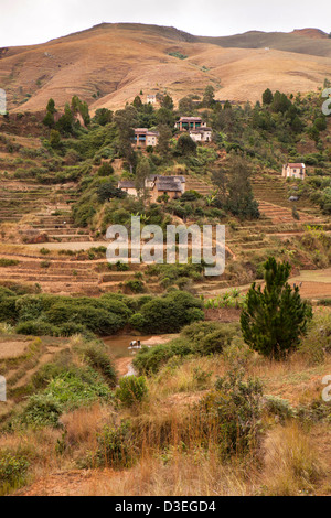 Madagascar, Ambositra paesino tra terrazzamenti campi agricoli Foto Stock