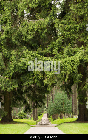 Il sentiero e gli alberi in foresta skogskyrkogarden cimitero di Stoccolma, Svezia Foto Stock