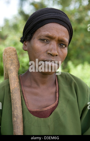 ANKA DUGANA distretto, zona WOLAYITA, sud Etiopia, 21AGOSTO 2008: persone dal villaggio Ukamo prendere parte in una piantagione di alberi Foto Stock