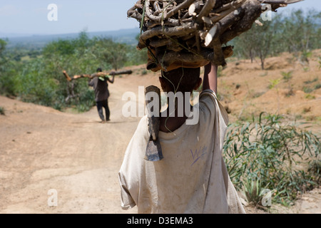 ANKA DUGANA distretto, zona WOLAYITA, sud Etiopia, 21AGOSTO 2008: Mamush Mamo, 8, passeggiate home trasporto di legna da ardere. Foto Stock