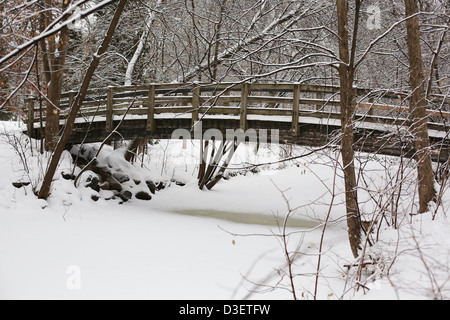 Un ponte pedonale in un parco a Minneapolis, Minnesota. Foto Stock