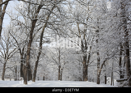 Una coperta di neve park a Minneapolis, Minnesota. Foto Stock