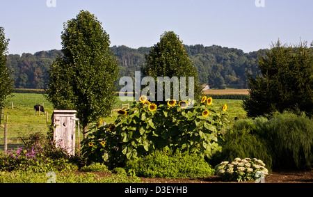 Giardino vegetale della famiglia Amish con mini-outhouse nel paese Amish della contea di Lancaster, Pennsylvania, Stati Uniti, gabinetto del giardino Foto Stock