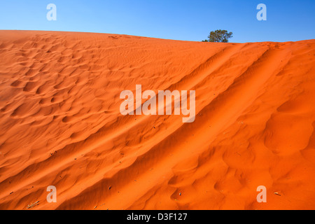 Veicolo le vie di soffice sabbia rossa in Australia centrale di Territorio del Nord Foto Stock