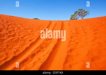 Veicolo le vie di soffice sabbia rossa in Australia centrale di Territorio del Nord Foto Stock