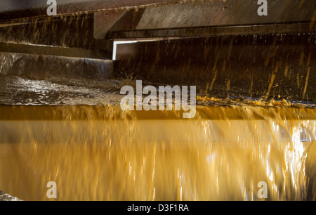 La vinificazione in California Foto Stock