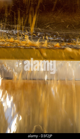 La vinificazione in California Foto Stock