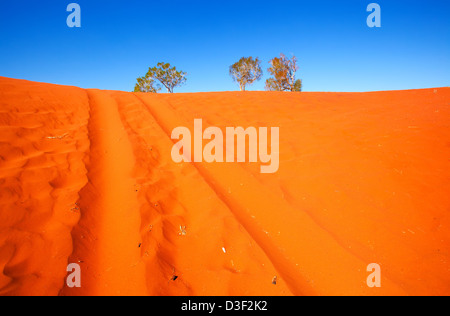 Veicolo le vie di soffice sabbia rossa del centro di outback australiano Foto Stock