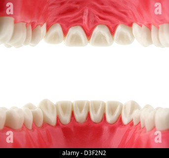 La bocca con denti dall'interno Foto Stock