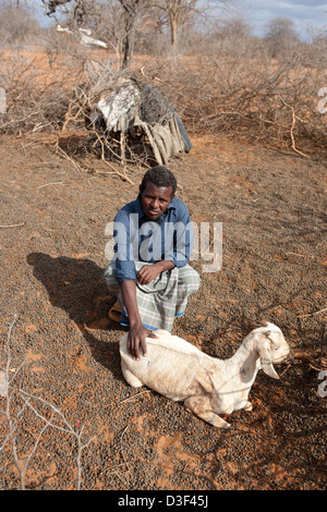 MAKUTANO, Kenya orientale, 2 settembre 2009: Metà di Nurow Isaak il gregge di 72 ovini e caprini sono morti a causa della siccità. Foto Stock