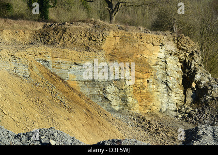 Strati di calcare rivelato dalla cava di Wenlock Edge in Shrosphire Inghilterra UK. Formazione rocciosa sedimentaria Foto Stock