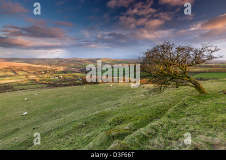 Vista dalla chiesa di San Michele sulla sommità del Brent Tor oltre le zone rurali paesaggio Dartmoor, Devon, Inghilterra, Regno Unito, Europa. Foto Stock