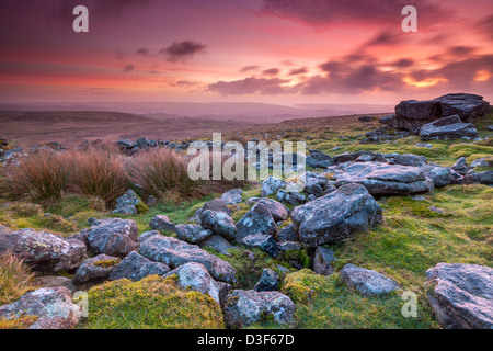 Rippon Tor nel Parco Nazionale di Dartmoor vicino Widecombe in moro, Devon, Inghilterra, Regno Unito, Europa. Foto Stock