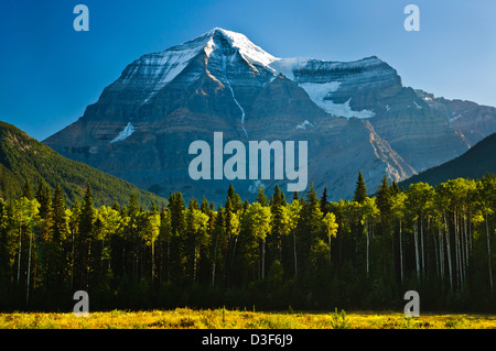 La mattina presto vista del Monte Robson, British Columbia, Canada senza nuvole Foto Stock